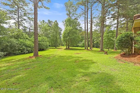 Exterior - 437 Henry Byrd Rd, Florence, MS 39073 photo 9 of 9