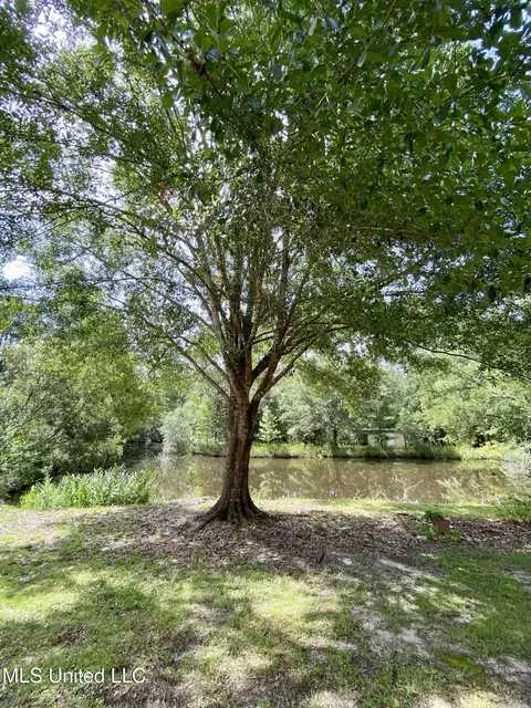 4 Nottoway Drive Dr, Picayune, MS 39466 photo 28