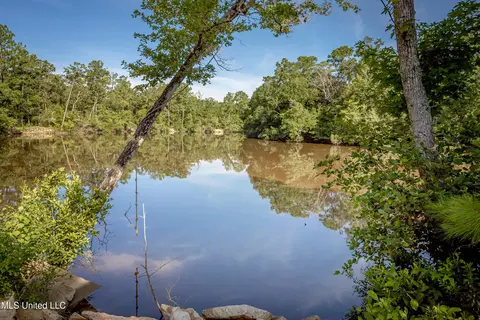 View/Area - 10296 Road 252, Biloxi, MS 39532 photo 5 of 12