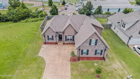 View/Area - 275 Magnolia Gardens Dr, Hernando, MS 38632 photo 3 of 5