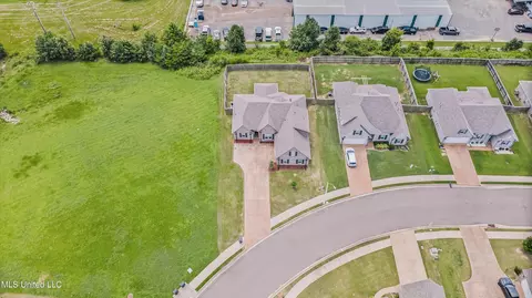 View/Area - 275 Magnolia Gardens Dr, Hernando, MS 38632 photo 2 of 5