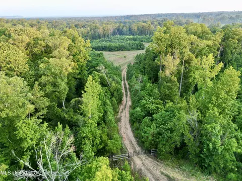 Dentville Road, Hazlehurst, MS 39083