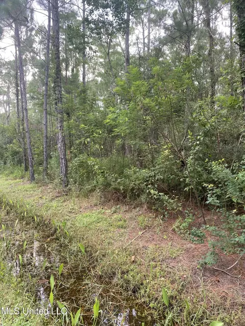 Fig Drive, Waveland, MS 39576