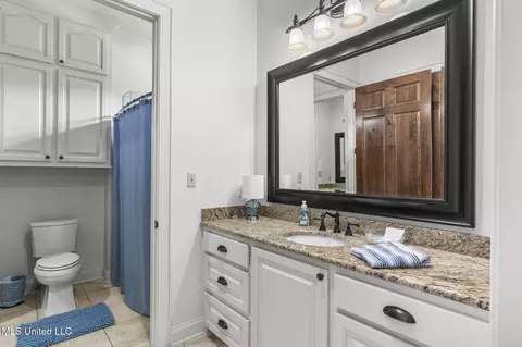 Bath - 106 Wethersfield Dr, Madison, MS 39110 photo 6 of 11