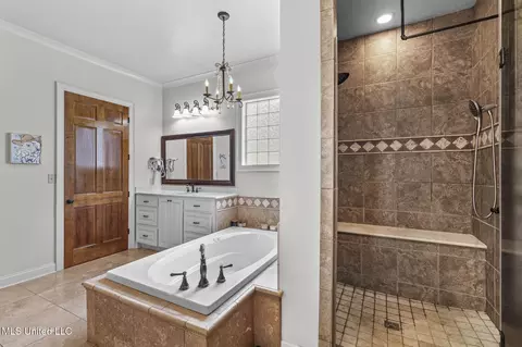 Bath - 106 Wethersfield Dr, Madison, MS 39110 photo 4 of 11