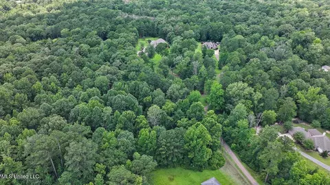 View/Area - 715 Westerly Dr, Brandon, MS 39042 photo 3 of 6