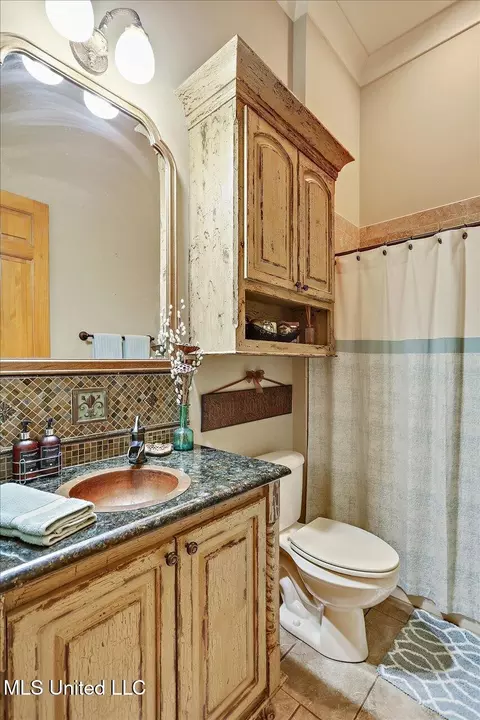 Bath - 715 Westerly Dr, Brandon, MS 39042 photo 7 of 11
