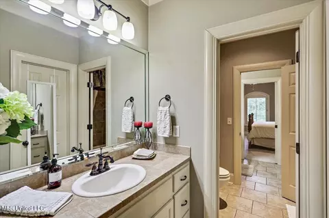 Bath - 715 Westerly Dr, Brandon, MS 39042 photo 11 of 11