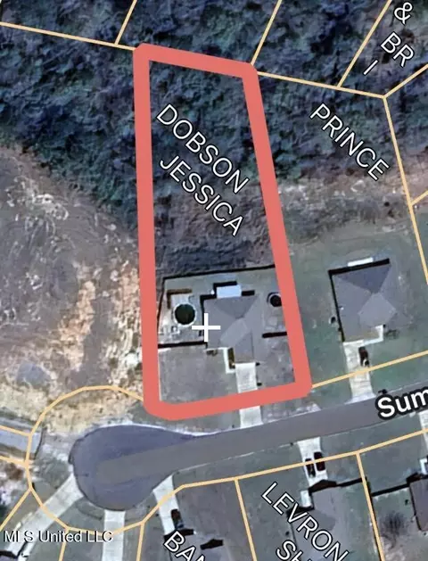 View/Area - 60 Summit View Dr, Perkinston, MS 39573 photo 2 of 2