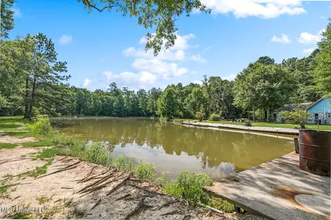 View/Area - 320 Mcsween Rd, Picayune, MS 39466 photo 3 of 3
