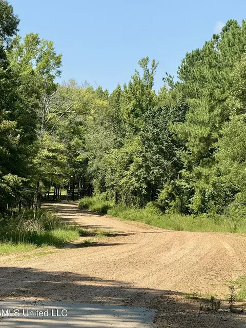 0 Broome Rd, Wesson, MS 39191 photo 3
