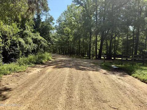 0 Broome Rd, Wesson, MS 39191 photo 11