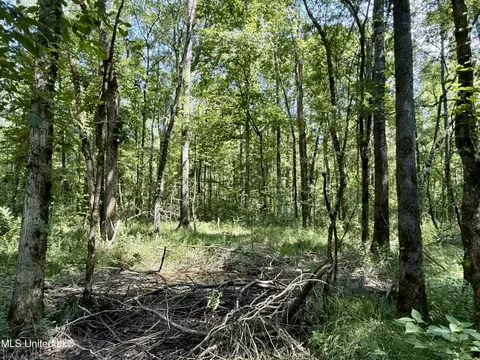 0 Broome Rd, Wesson, MS 39191 photo 8
