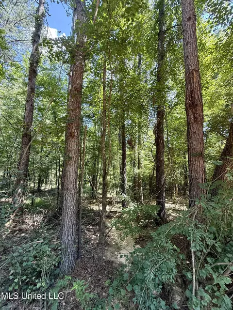 0 Broome Rd, Wesson, MS 39191 photo 5