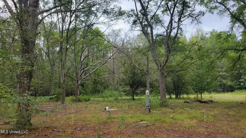 463 Soldiers Colony Rd, Canton, MS 39046 photo 3