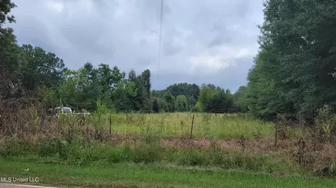 463 Soldiers Colony Rd, Canton, MS 39046 photo 5