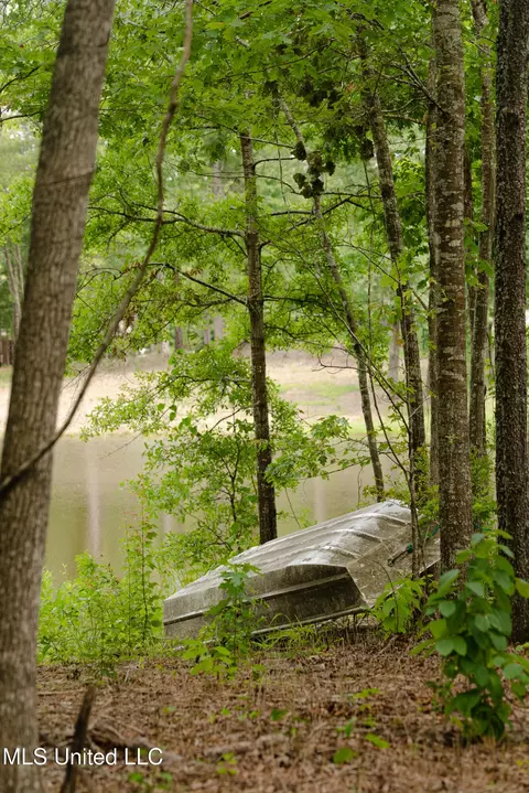 Danielle Cove, Brandon, MS 39042 photo 10