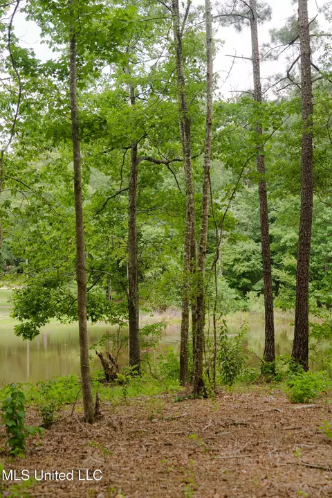 Danielle Cove, Brandon, MS 39042 photo 11