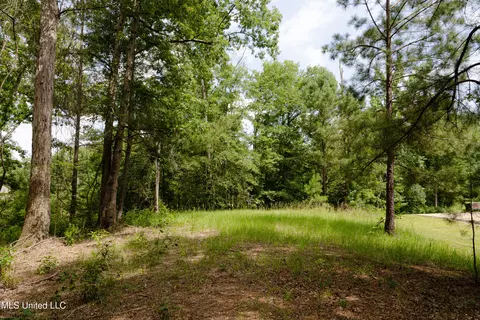 Danielle Cove, Brandon, MS 39042 photo 6
