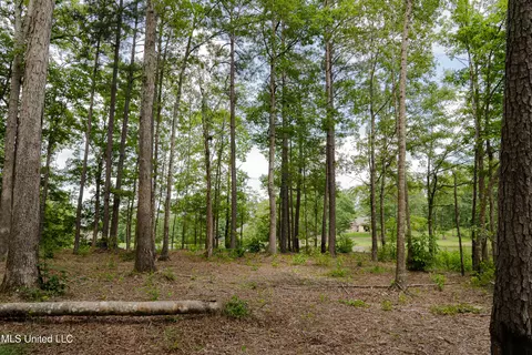 Danielle Cove, Brandon, MS 39042 photo 14