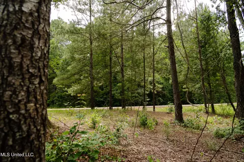 Danielle Cove, Brandon, MS 39042 photo 16