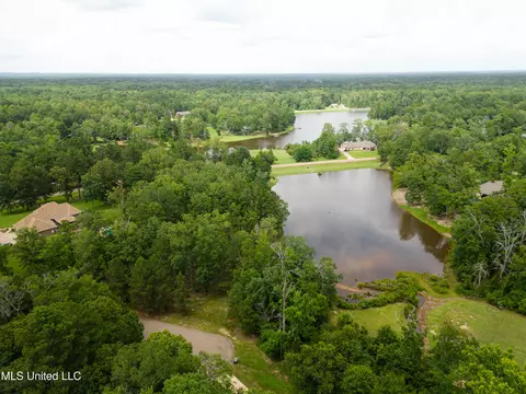 Danielle Cove, Brandon, MS 39042 photo 26