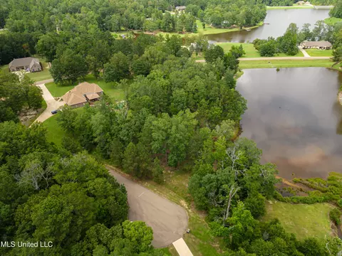 Danielle Cove, Brandon, MS 39042 photo 25