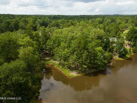 Danielle Cove, Brandon, MS 39042 photo 22