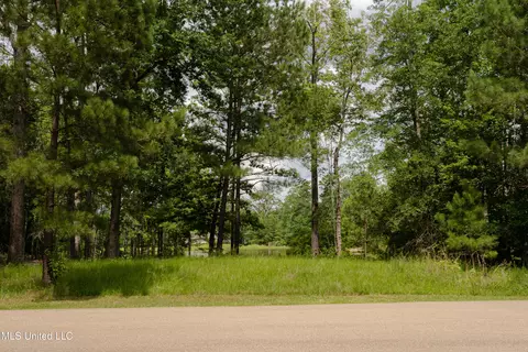 Danielle Cove, Brandon, MS 39042 photo 18