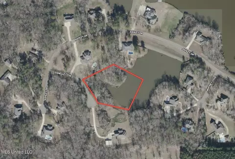 Danielle Cove, Brandon, MS 39042 photo 27
