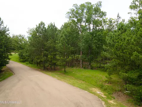 Danielle Cove, Brandon, MS 39042 photo 19