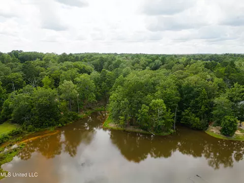 Danielle Cove, Brandon, MS 39042 photo 23