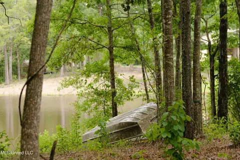 Danielle Cove, Brandon, MS 39042 photo 9