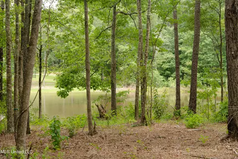 Danielle Cove, Brandon, MS 39042 photo 4