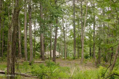 Danielle Cove, Brandon, MS 39042 photo 7