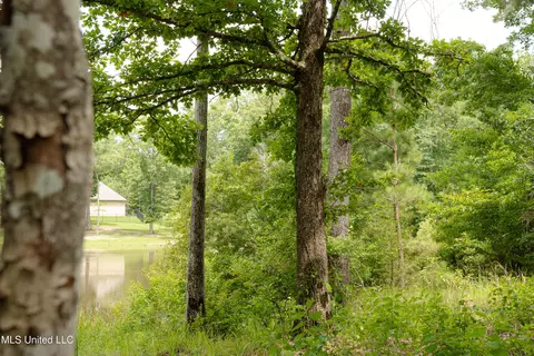 Danielle Cove, Brandon, MS 39042 photo 2