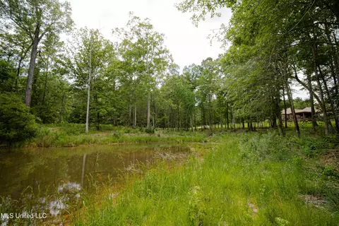 Danielle Cove, Brandon, MS 39042 photo 13