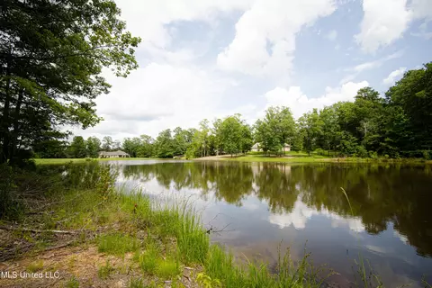 Danielle Cove, Brandon, MS 39042 photo 12