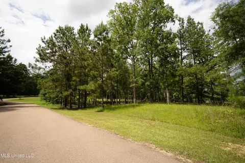Danielle Cove, Brandon, MS 39042 photo 5