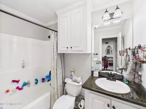 Bath - 107 Millhouse Dr, Madison, MS 39110 photo 5 of 6