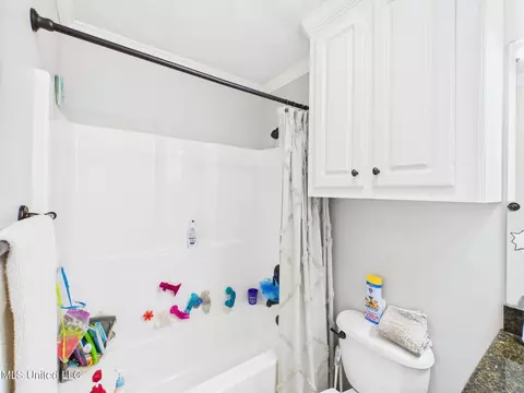 Bath - 107 Millhouse Dr, Madison, MS 39110 photo 6 of 6