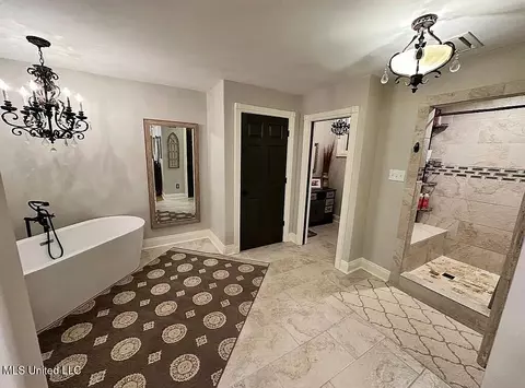 Bath - 1202 White Oak Dr, Hernando, MS 38632 photo 3 of 6