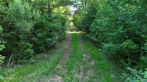 8346 Highway 14, Goodman, MS 39079 photo 17