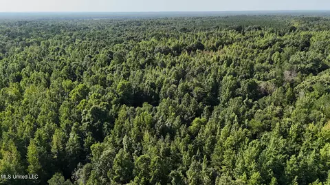 8346 Highway 14, Goodman, MS 39079 photo 23
