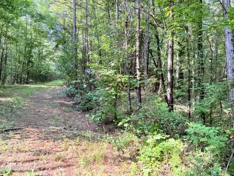 8346 Highway 14, Goodman, MS 39079 photo 51