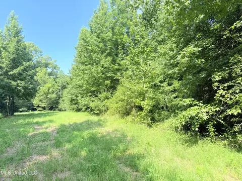 8346 Highway 14, Goodman, MS 39079 photo 34
