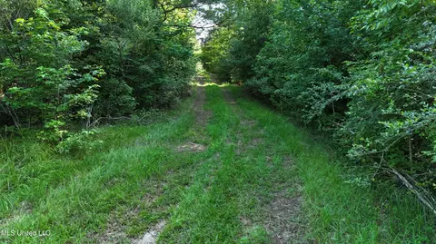 8346 Highway 14, Goodman, MS 39079 photo 26
