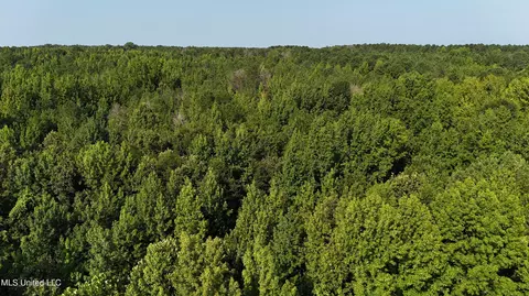 8346 Highway 14, Goodman, MS 39079 photo 16