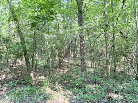 8346 Highway 14, Goodman, MS 39079 photo 56