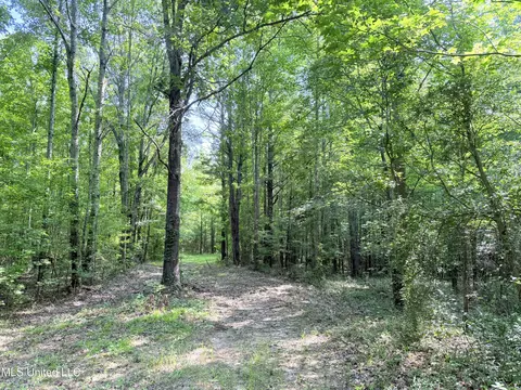 8346 Highway 14, Goodman, MS 39079 photo 48